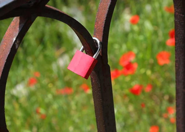 桥上一个红色挂锁的爱的象征 — 图库照片
