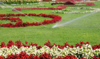wide flowery garden with automatic irrigation system in operation during the summer clipart
