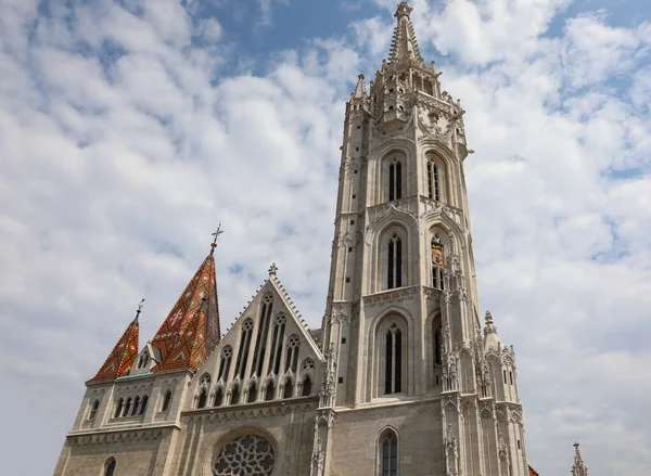 Chiesa Dell Assunzione Chiamata Chiesa Mattia Budapest Ungheria Europa Centrale — Foto Stock