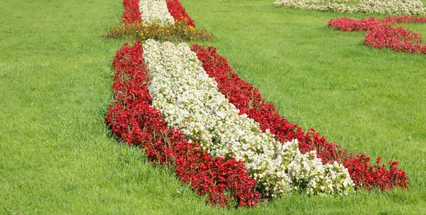 Jardín Florido Con Grandes Macizos Flores Bien Cuidados Por Los — Foto de Stock