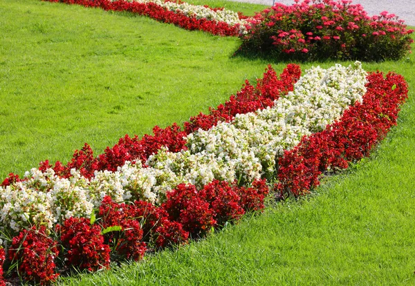 Jardín Florido Con Grandes Macizos Flores Bien Cuidados Por Los — Foto de Stock