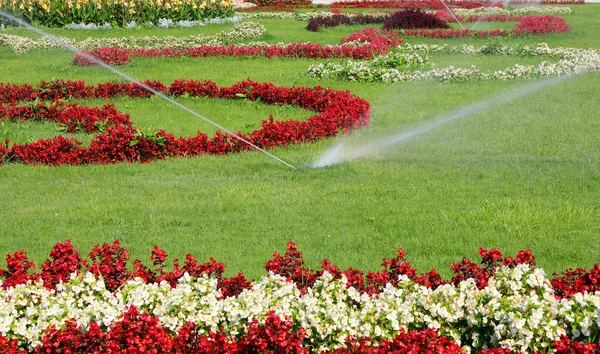 Amplio Jardín Florido Con Sistema Riego Automático Funcionamiento Durante Verano — Foto de Stock