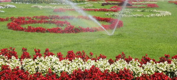 Amplio Jardín Florido Con Sistema Riego Automático Funcionamiento Verano — Foto de Stock