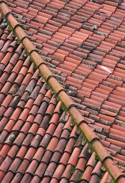 Много Плитки Итальянской Крыши Тоскане Региона Центральной Италии — стоковое фото