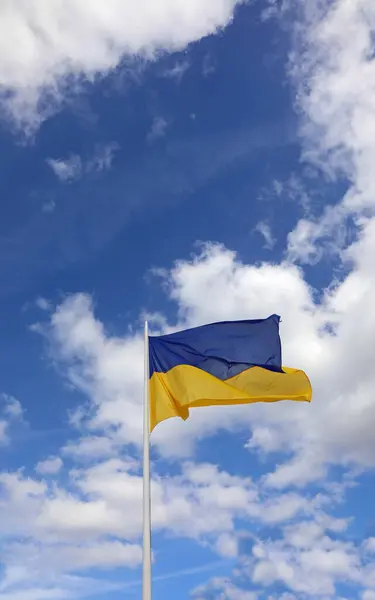 Флаг Украины Голубыми Над Жёлтыми Цветами Внизу Машущими Голубом Небе — стоковое фото