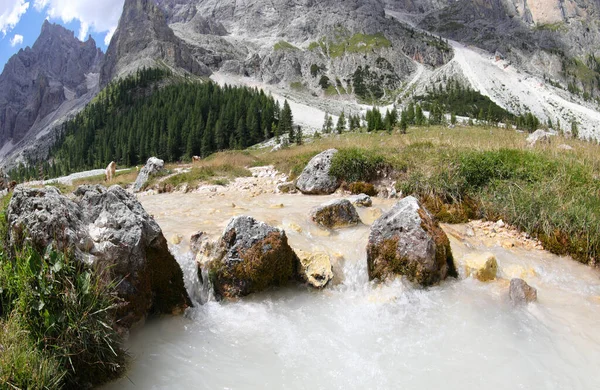 Panorama Över Venegia Valley Europeiska Alperna Och Strömmen Rent Källvatten — Stockfoto