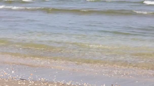Морські Хвилі Березі Біля Пляжу Влітку — стокове відео