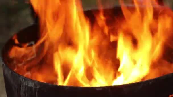 在村民节期间 在篝火中烘烤的栗子 — 图库视频影像
