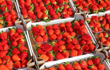 many baskets of ripe red strawberries for sale in the fruit and vegetable market