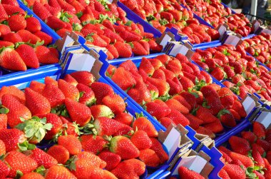 many baskets of ripe red strawberries for sale in the fruit and vegetable market