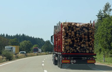 Kesik kütükleri kereste atölyesine taşımak için kullanılan kamyon.
