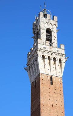 Ancient Tower of Siena City in Central Italy called TORRE DEL MANGIA