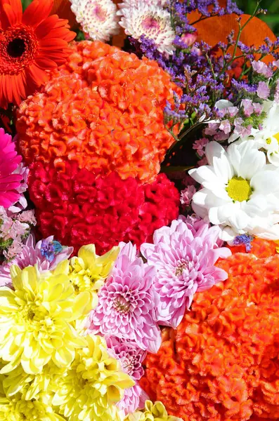 Flores Coloridas Com Muitas Pétalas Coloridas Que Formam Belo Fundo — Fotografia de Stock