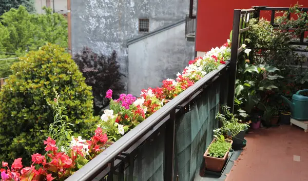 Piękny Balkon Tarasem Kwitnącymi Kwiatami Begonii Wiosną Dekoracji Domu — Zdjęcie stockowe