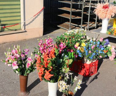 İlkbaharda yerel sokak pazarında çiçek açan saksılar.