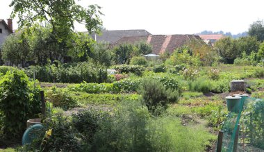 Şehrin varoşlarındaki evlere yakın kentsel bahçeler.