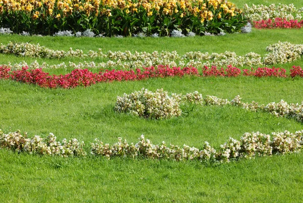 Jardines Flores Bien Cuidados Muy Bien Cuidados Por Jardinero Con — Foto de Stock