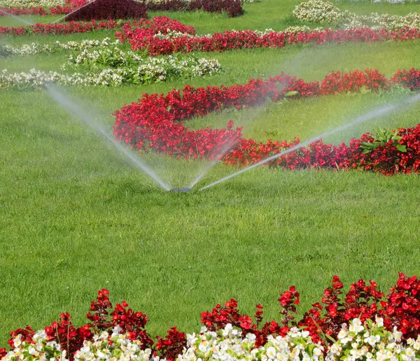 花圃自动灌溉系统由花圃中开满五颜六色花的园丁妥善照看 — 图库照片