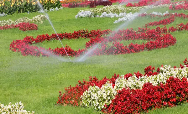 Sistema Riego Automático Para Jardines Flores Bien Cuidado Por Jardinero — Foto de Stock