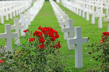 Colleville-sur-Mer, FRA, Fransa - 21 Ağustos 2022: Amerikan Askeri Mezarlığı ve askerlerin ve kırmızı güllerin mezarlarında birçok haç