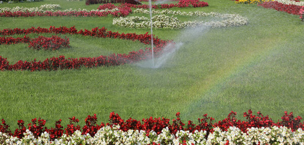 Automatic irrigation system of the flower garden with well-kept flowerbeds with colorful flowers