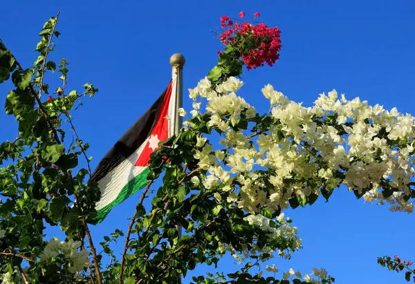 Bandera Jordania Ondeando Cielo Azul Flores Bounganvillea —  Fotos de Stock