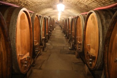 Şarabı yeraltında, rutubetli bir kooperatif mahzende yaşlandırmak için bir sürü tahta fıçı.