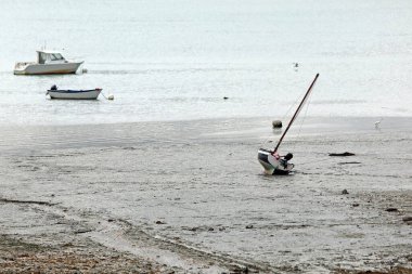 Fransa 'nın kuzeyindeki Cancale, Britanya' da dalgalar çekildiğinde kıyıya vurmuş.