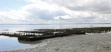 Fransa 'nın kuzeyinde, Cancale şehrinin kıyısında denizlerde istiridye yetiştirmeye adanmış bir bölge.