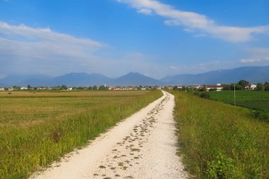 Güzel güneşli bir günde, tarlanın ortasında insanların olmadığı uzun bir döngü yolu.