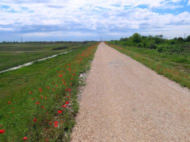 Toprak yolda geniş bir bisiklet yolu var. Nehir kıyısının üzerinde insanlar olmadan inşa edilmiş taşlar var.