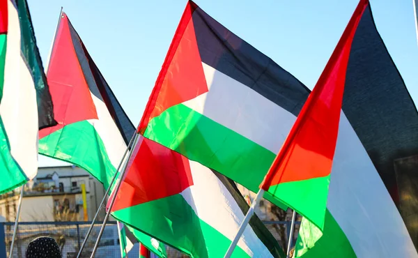 Ondeando Banderas Palestinas Durante Manifestación Pacífica Por Paz —  Fotos de Stock