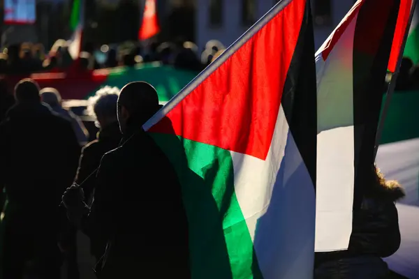 示威者在争取自由和独立的抗议游行中手持的许多巴勒斯坦背光旗帜 图库图片