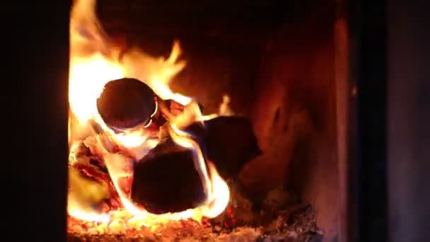 Trozos Leña Ardiendo Dentro Estufa Leña Para Calefacción — Vídeos de Stock