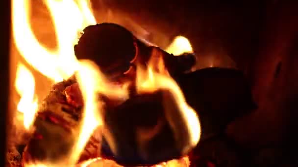 Muchas Piezas Leña Ardiendo Dentro Estufa Leña Para Calentar — Vídeos de Stock