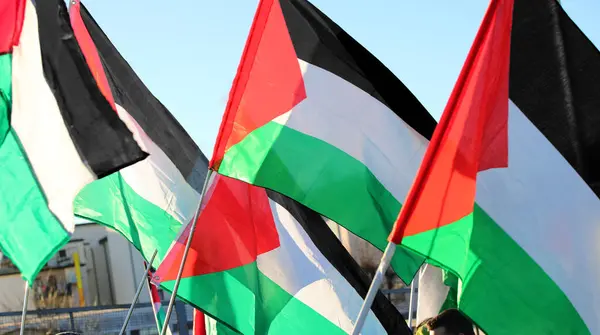 Muchas Banderas Palestinas Ondeando Durante Manifestación Contra Guerra —  Fotos de Stock