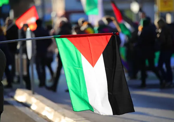 Große Palästina Flagge Schwarz Weiß Grün Mit Rotem Dreieck Während Stockbild