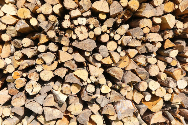 many dried logs of wood in the woodshed ready to be used to heat the house
