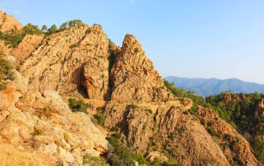 Korsika 'da insanlar olmadan Çorak Topraklar ya da Çıngıraklar denilen kayalık güllerin büyüleyici manzarası.