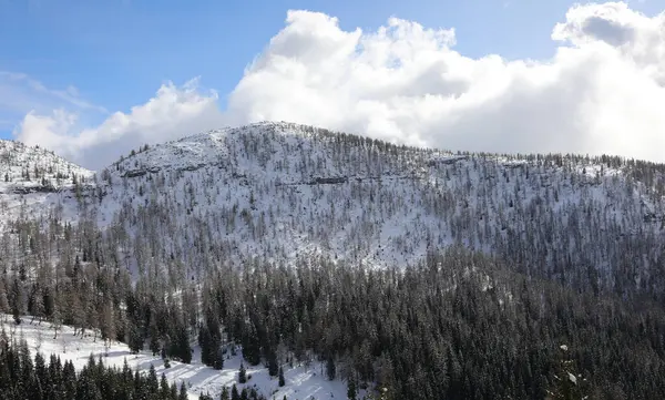 Impresionante Paisaje Alpino Con Montañas Con Nieve Bosque Alerces Invierno — Foto de Stock
