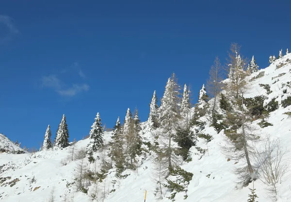 Nevado Paisaje Alta Montaña Invierno Con Nieve Recién Caída Las — Foto de Stock