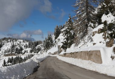 Tehlikeli yüksek dağ buzlu asfalt yolu kışın kozalaklara yeni yağmış kar ile