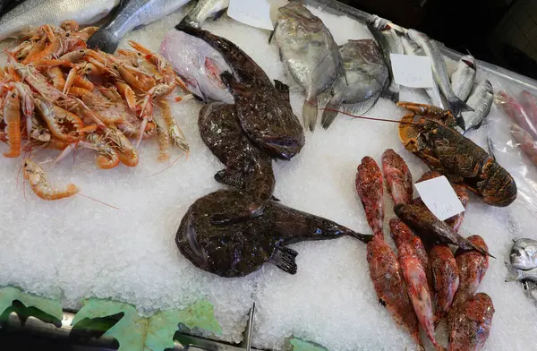Monkfish fish on the ice of counter for sale in the fish shop with other types of fish such as calamari and moorhen