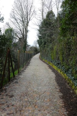 Yaya geçidinin ortasında dar bir sokak. İnsansız. Yalnızlık kavramı için ideal.