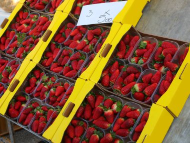 Bahar ayında pazarda satılık taze çilek dolu plastik sepetler.