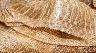 snake skin after molting with the scales of geometric figures clipart