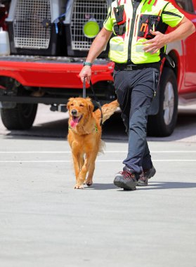 Arama ve kurtarma köpek bakıcısı ve köpek yoldaşı kayıp kişiyi takip ediyor.