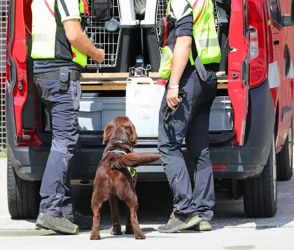 stock image Two dog handlers with the K-9 unit during the emergency with the exceptional sense of smell dog