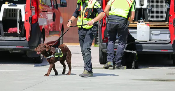 stock image dog handlers and van with the K-9 unit during the emergency with the exceptional sense of smell dog