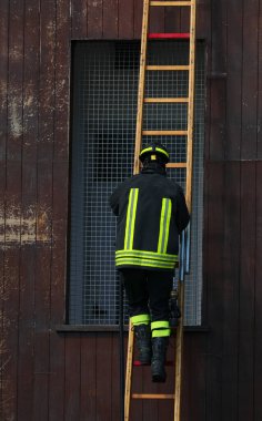 İdman sırasında kask takan üniformalı itfaiyeci merdivenlere tırmanıyor.